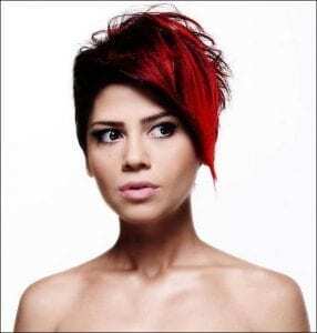 Aydilge Menajerlik Telefonu,