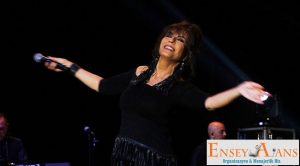 Sanatçı Ayşegül Aldinç Yetkili Menajeri İletişim,