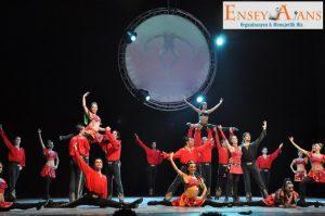 Anadolu Ateşi Menajerine Nasıl Ulaşırım,