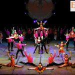 Anadolu Ateşi Menajer,