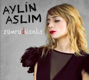 Aylin Aslım Menajerlik Ulaşım,