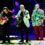 Mfö Tek Yetkili Menajeri Telefonu,