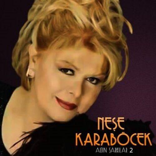 Neşe Karaböcek Menajerlik Bilgileri,