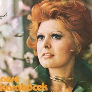 Neşe Karaböcek Telefonu Menajeri Kim,