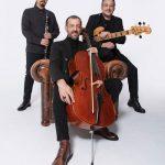 Rubato Resmi Web Sitesi,