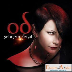 Şebnem Ferah Resmi Menajeri Telefonu,