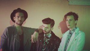 Vera Grubu Yetkili Menajerlik,