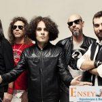 Yüksek Sadakat Tek Yetkili Menajeri Telefonu,