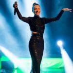 Irmak Arıcı Yılbaşı Fiyatı,