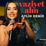Aylin Demir yurt dışı konseri,