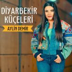 Aylin Demir konser ve etkinlik organizasyonları için iletişim,