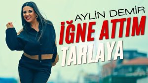 Aylin Demir Menajerlik İletişim,