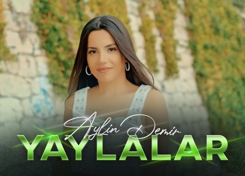 Aylin Demir Menajeri İletişim,