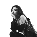 M Lisa kurumsal etkinlik müziği,