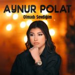 Aynur Polat yılbaşı programı,