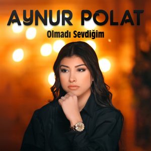 Aynur Polat yılbaşı programı,