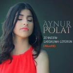 Aynur Polat Menajerlik İletişim,