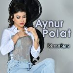 Aynur Polat menajer iletişim Alaattin Ocak 05412323051,