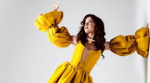 Melis Fis organizasyon iletişim,