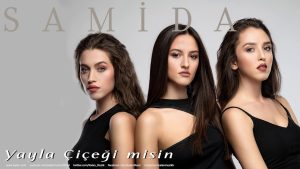 Samida menajerlik ve organizasyon iletişim bilgileri,